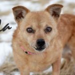lola